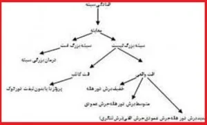 رفع افتادگی سینه ها