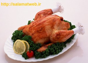 گوشت مرغ سرشار از سروتونین