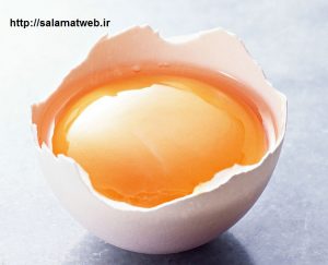 تخم مرغ وکاهش وزن