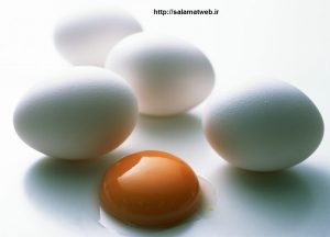 تخم مرغ و افزایش رشد کودک