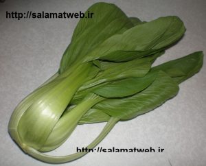 کلم چینی سبزی ضد سرطان