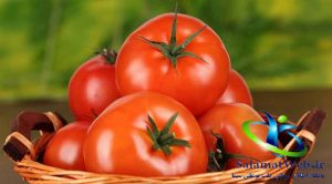 گوجه فرنگی وپیشگیری از خشکی پوست
