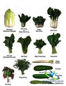 سبزیجات برگ سبز و افزایش متابولیسم بدن