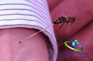 درمان نیش زنبورهای عسل