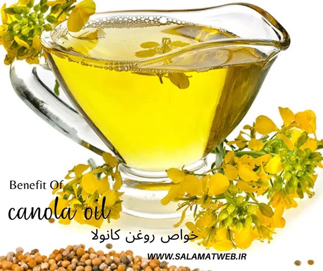 benefit of canola oil خواص روغن کانولا