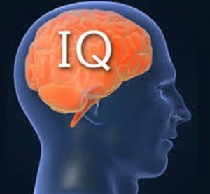 افزایش هوش