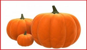 pumpkins