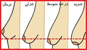 images 2 8