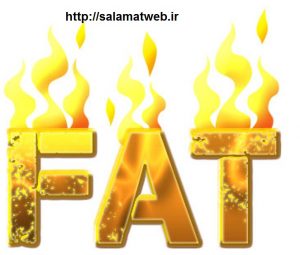 مواد غذایی چربی سوز