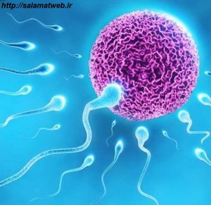 عوامل موثر در کاهش اسپرم