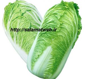 خواص کلم چینی