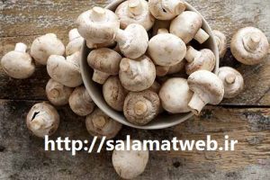 خواص درمانی قارچ