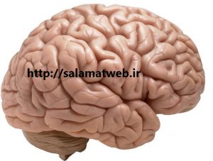 خوراکی های ضد پارکینسون