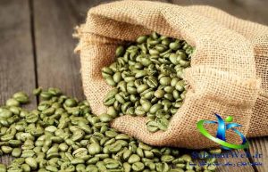 قهوه سبز چیست؟