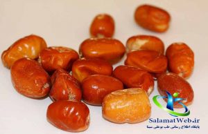 خواص تغذیه ای سنجد