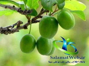 خواص تغذیه ای گوجه سبز