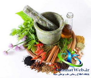 درمان ریزش مو با گیاهان دارویی