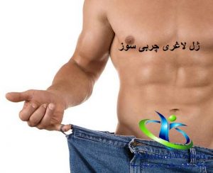 بهترین ژل لاغری دنیا