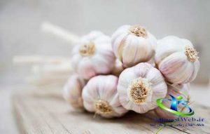 خرید و فروش سیر همدان