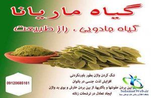 اسم دیگر گیاه ماریانا چیست