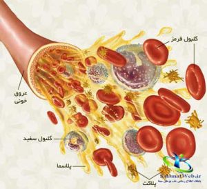 هزینه پی آر پی