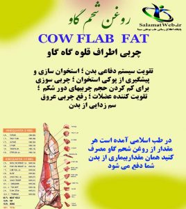 خرید روغن شحم گاو