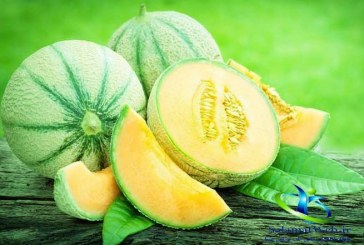 طالبی طالب سلامتی و زیبایی شماست