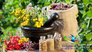 داروهای گیاهی
