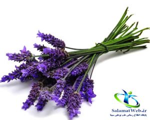 خواص اسطوخدوس برای پوست
