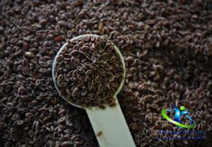 اسفرزه در بارداری