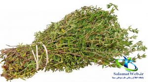 خواص آویشن
