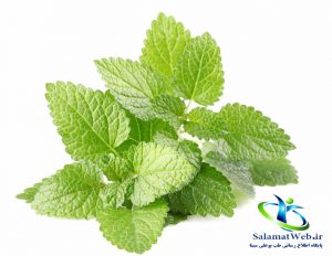 مضرات بادرنجبویه