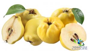 طبع میوه به
