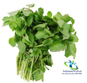 عکس شاهی