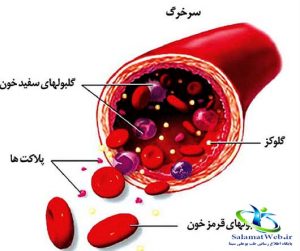 پلاکت خون چیست؟