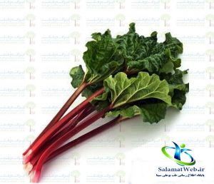 مضرات گیاه ریواس