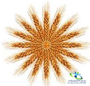 جو چیست؟