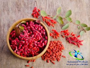 ارزش غذایی زرشک