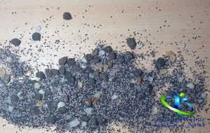 مضرات چهار تخمه