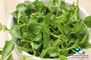 طبع شاهی آبی