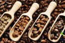 دانه قهوه و خواص آن +طرز انتخاب بهترین قهوه