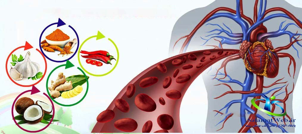 میوه های مفید برای گردش خون