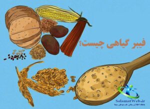 فیبرگیاهی
