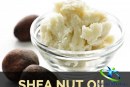 روغن شی باتر چیست؟معجزه شی باتر برای زیبایی پوست و مو