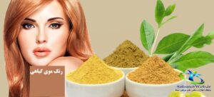 رنگ موی گیاهی چیست؟