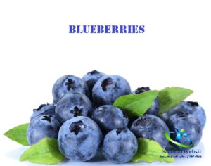 طبع میوه بلوبری