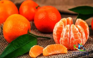 بهترین زمان مصرف میوه نارنگی